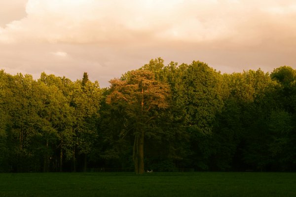 L'Évolution des Méthodes de Dépistage des Maladies Rares
